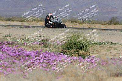 media/Feb-04-2023-SoCal Trackdays (Sat) [[8a776bf2c3]]/Turn 15 Inside Blooming (1050am)/